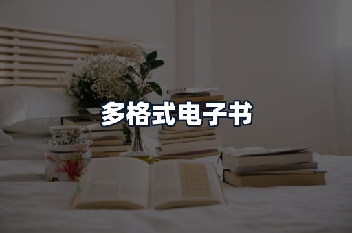 多格式电子书